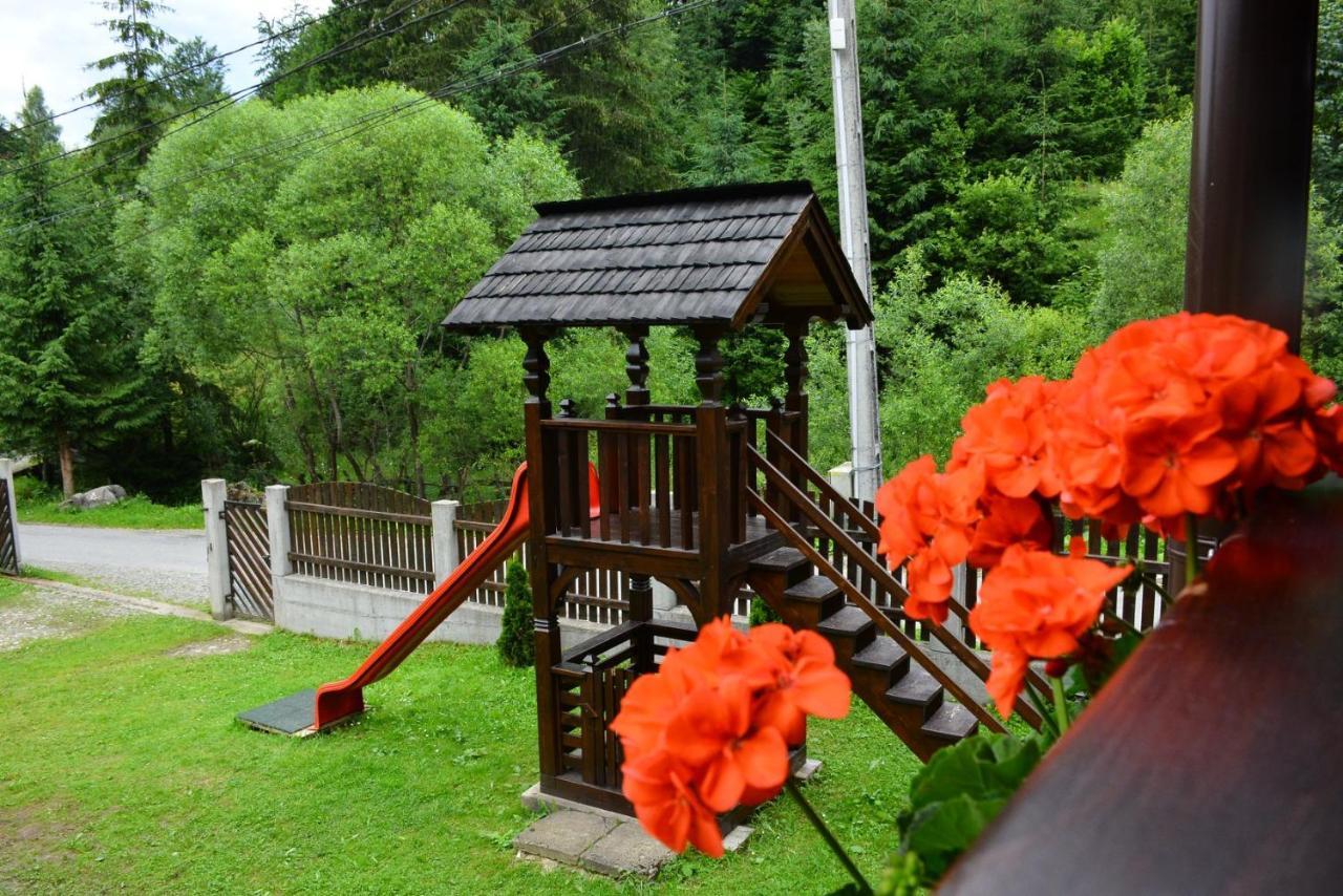 Cabana Cascada Cailor Hotell Borşa Exteriör bild