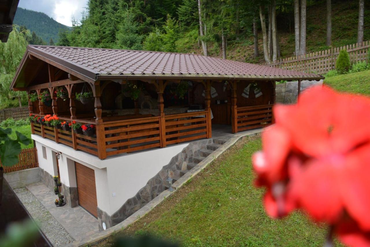 Cabana Cascada Cailor Hotell Borşa Exteriör bild