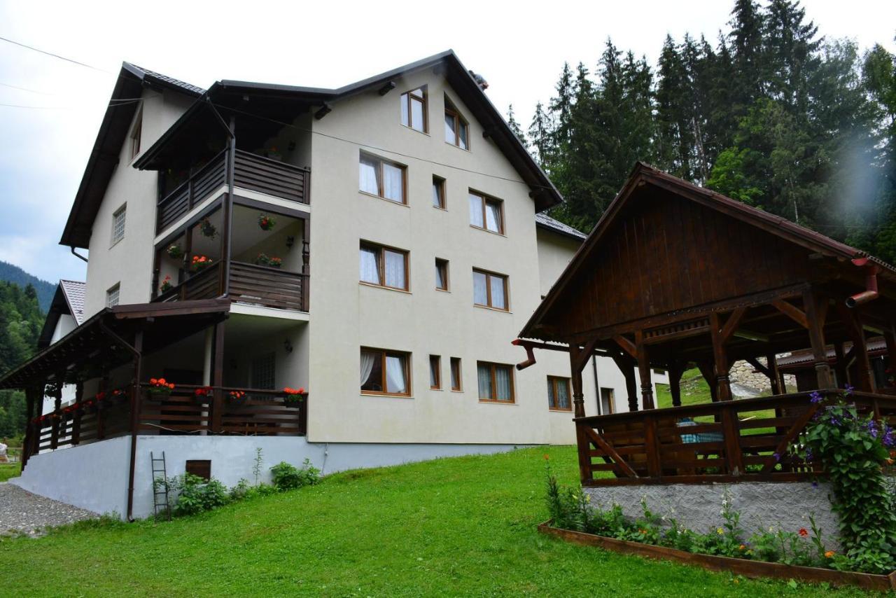 Cabana Cascada Cailor Hotell Borşa Exteriör bild