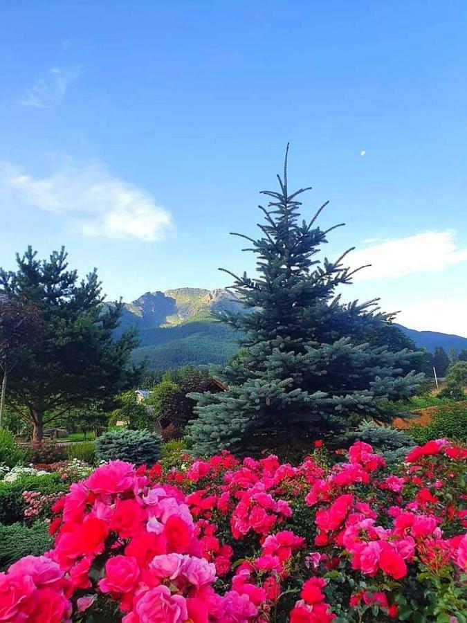 Cabana Cascada Cailor Hotell Borşa Exteriör bild