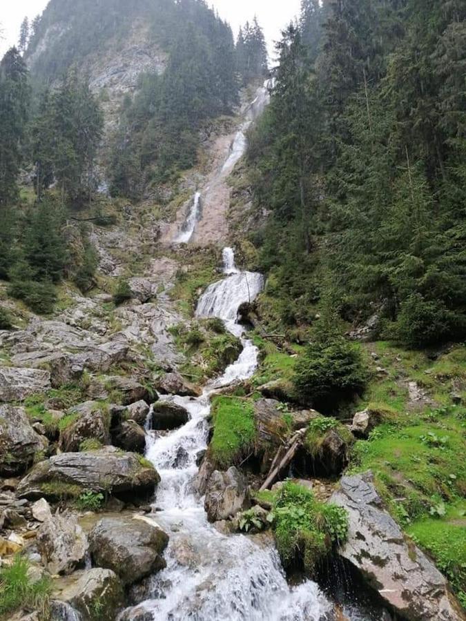 Cabana Cascada Cailor Hotell Borşa Exteriör bild