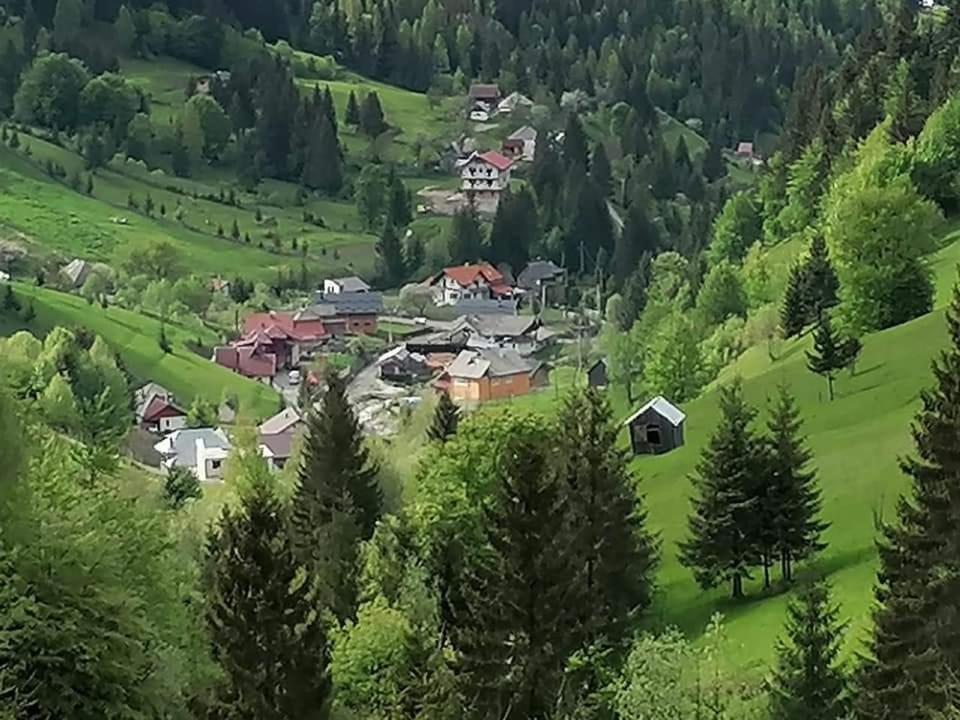 Cabana Cascada Cailor Hotell Borşa Exteriör bild