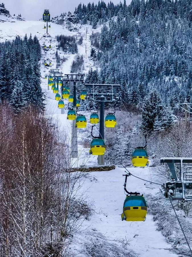 Cabana Cascada Cailor Hotell Borşa Exteriör bild