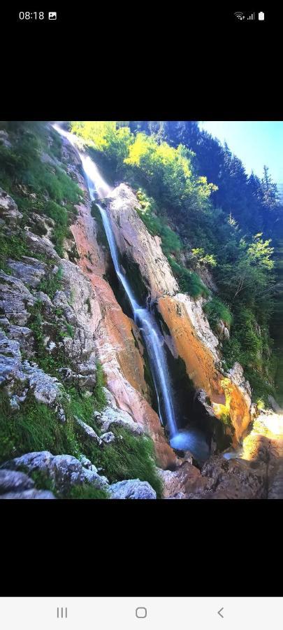 Cabana Cascada Cailor Hotell Borşa Exteriör bild