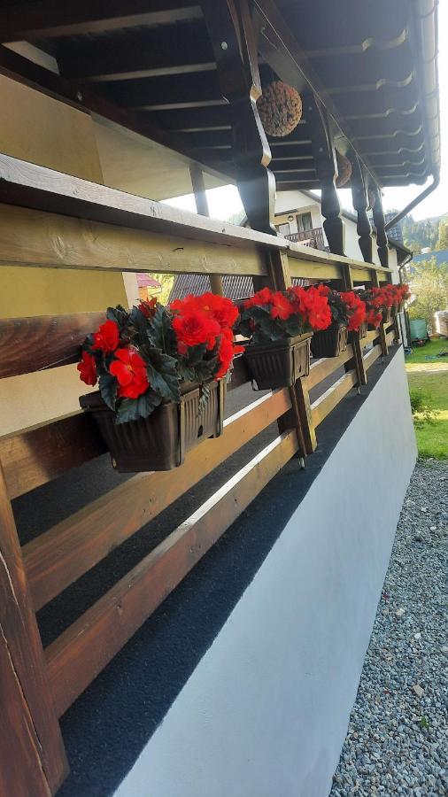 Cabana Cascada Cailor Hotell Borşa Exteriör bild